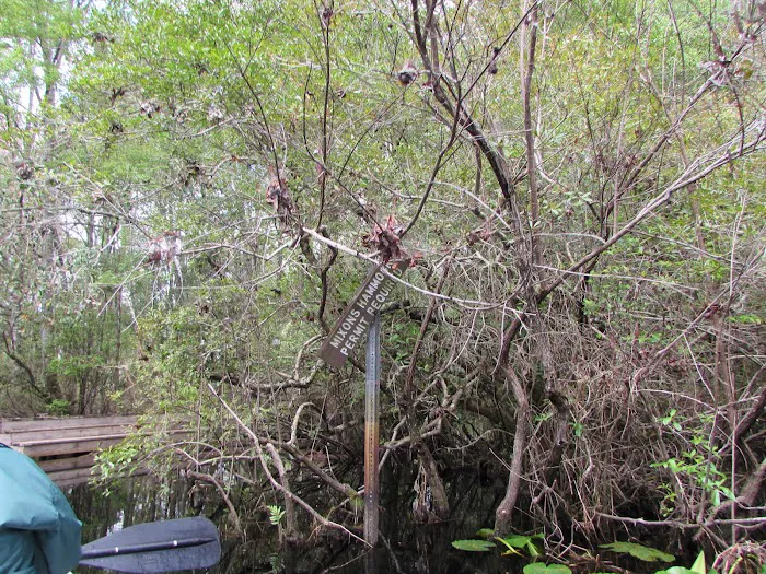 Mixon's Hammock Canoe Shelter 7
