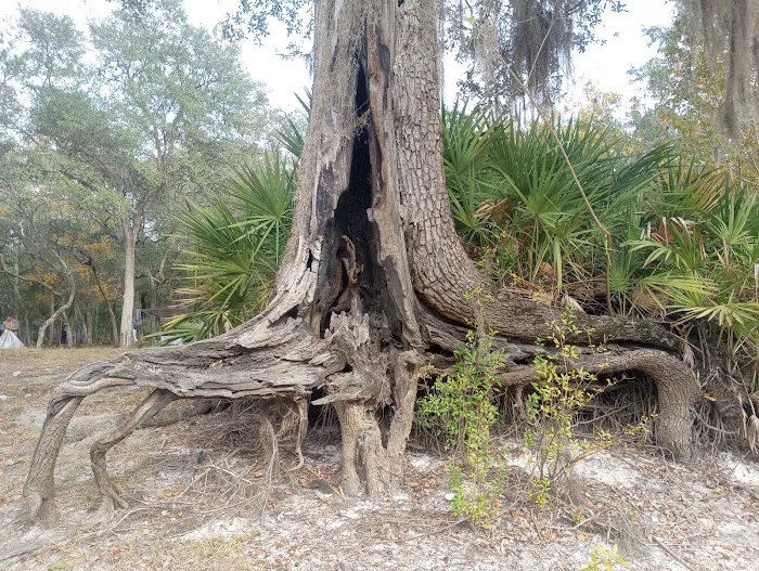 Barrington County Park 0