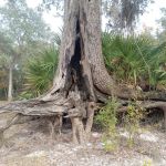 Barrington County Park