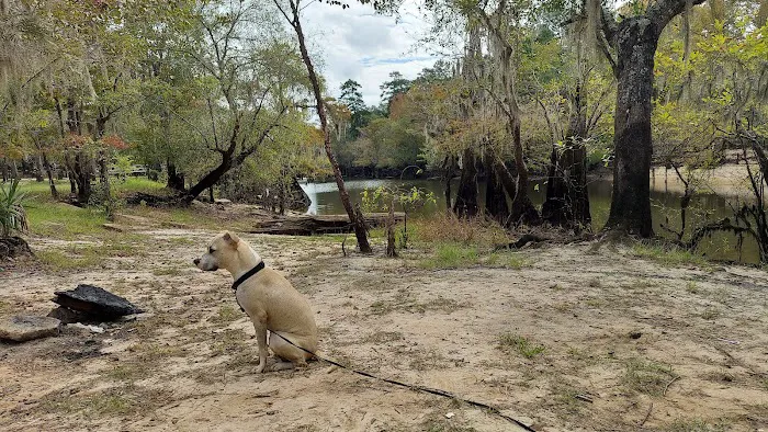 Barrington County Park 6