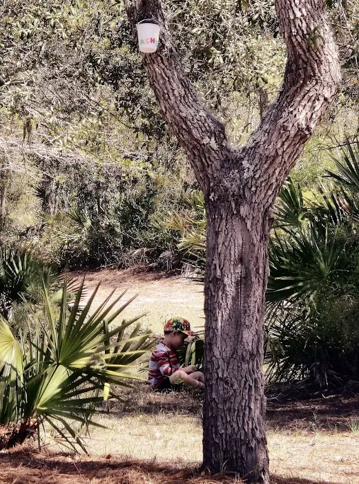Blackwater Ranch 7