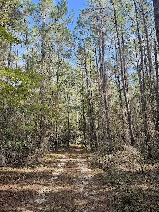 Bootleggers Campground Jennings State Forest, FL 1