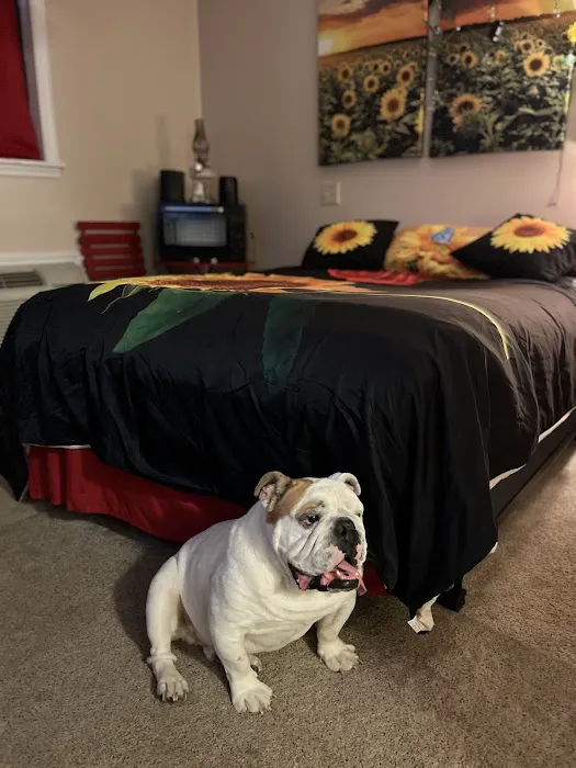 Camping At Dooley’s Empire in Paradise Camper Parking Rental And More 5