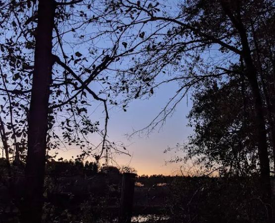 Maple Set Campground