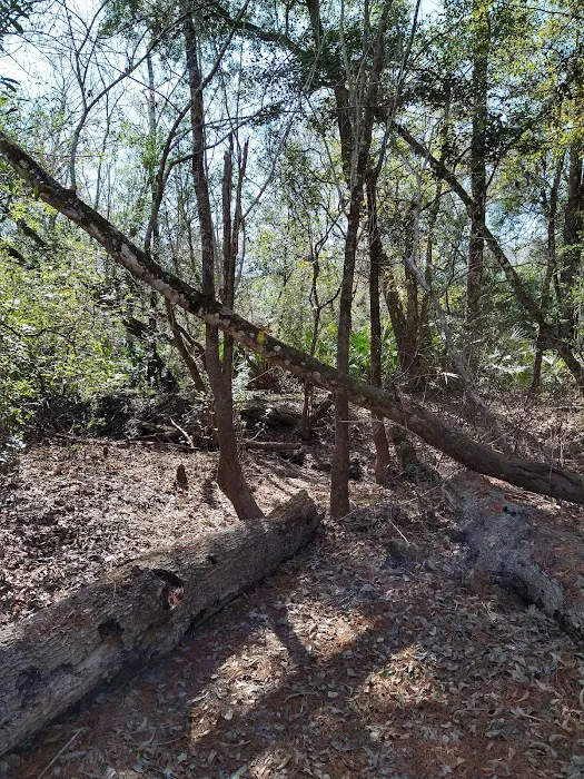 Maple Set Campground 6
