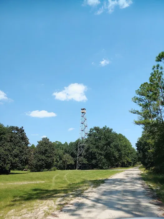 EAST TOWER CAMP 1