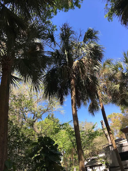 Seminole Campground 6