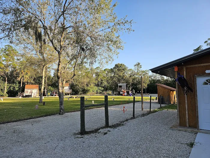 Alluring Acres - Glamp retreat 3
