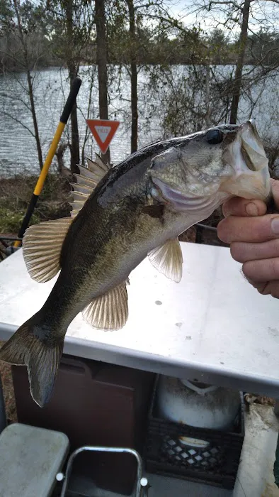 Morgan Lake Hunting & Fishing 7