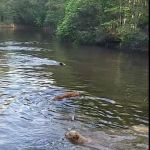 Camping Lot at Upper County Landing