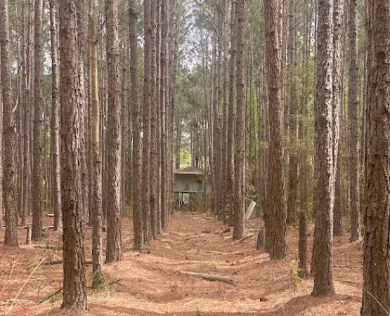 Veracruz Camp Ground GA