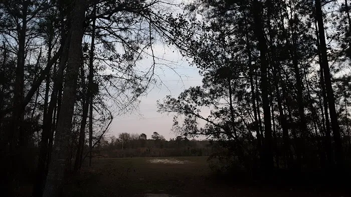 Tattnall Campground 0