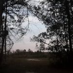 Tattnall Campground