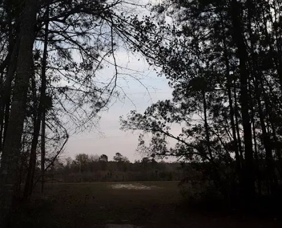 Tattnall Campground