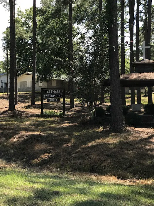 Tattnall Campground 7