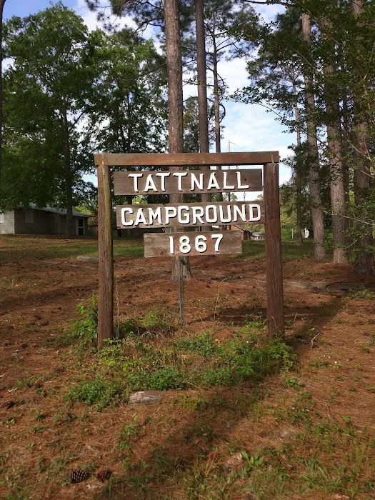 Tattnall Campground 6