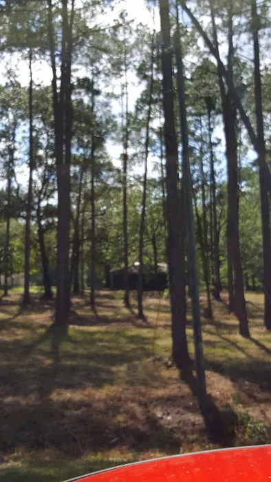 Tattnall Campground 1