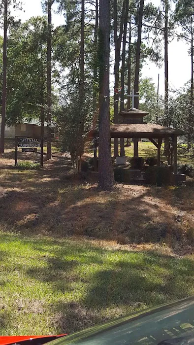 Tattnall Campground 5