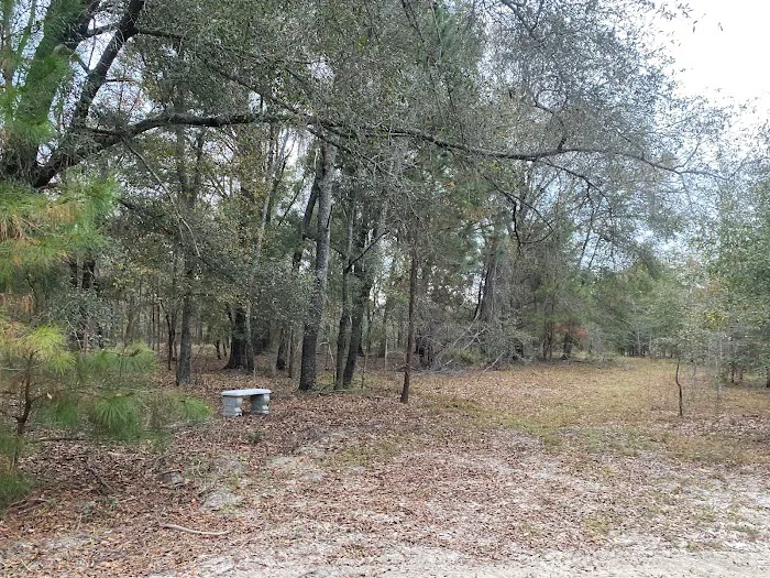 Hidden Forest RV Club 0