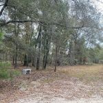 Hidden Forest RV Club