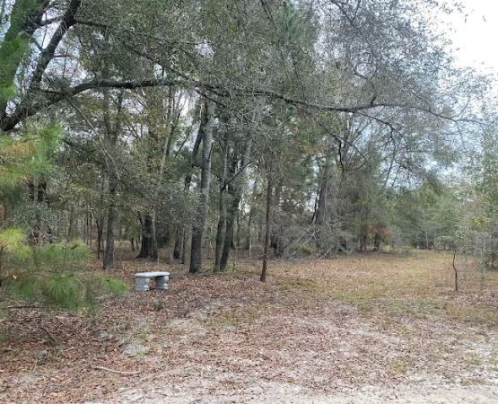 Hidden Forest RV Club