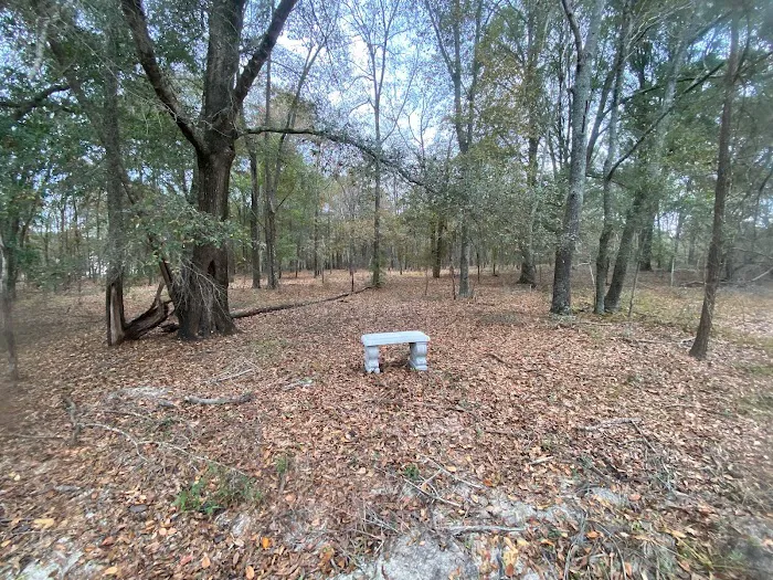 Hidden Forest RV Club 2