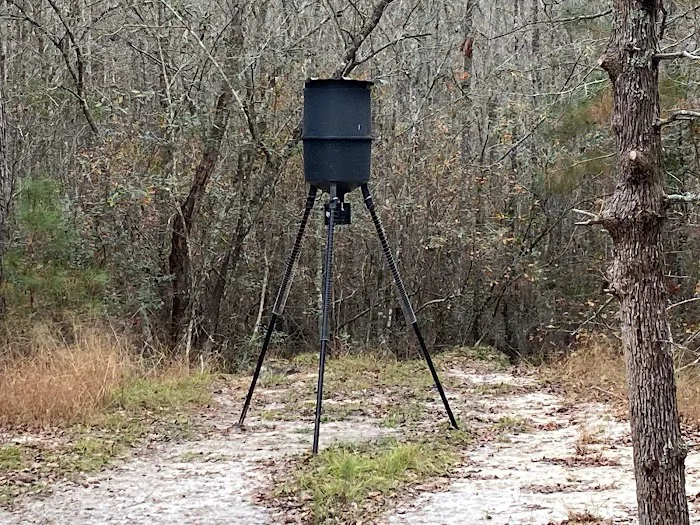 Hidden Forest RV Club 5