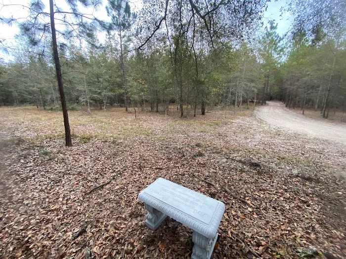Hidden Forest RV Club 7