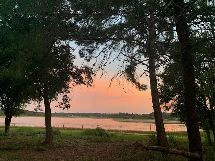 Trinity Camp 3