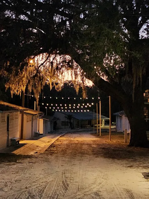 Trinity Camp 5
