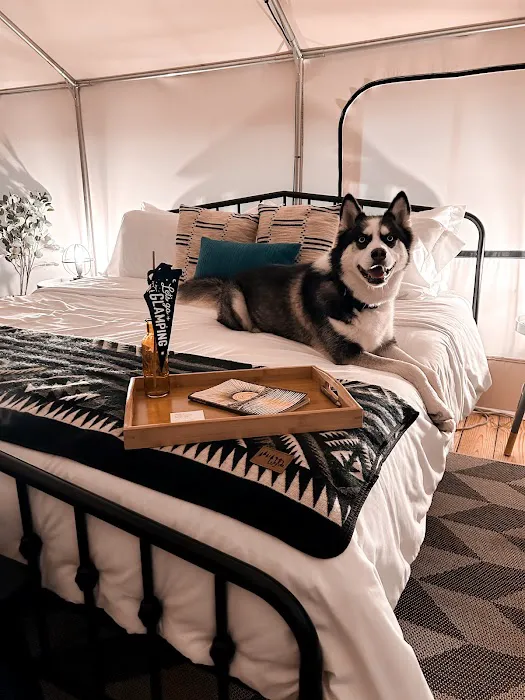 Timberline Glamping at Lake Blackshear 5