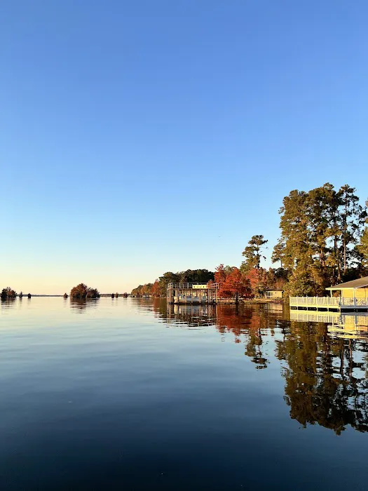 Georgia Veterans State Park Campground 8