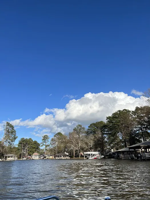 Georgia Veterans State Park Campground 4