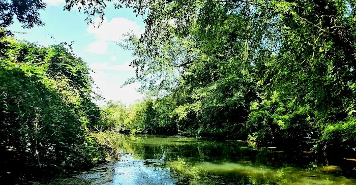 Georgia Veterans State Park Campground 6