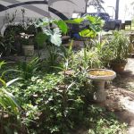 CreekSide RV Park & Campground