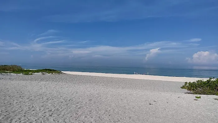 Turtle Beach Campground 6