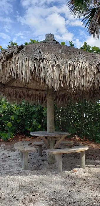 Turtle Beach Campground 9