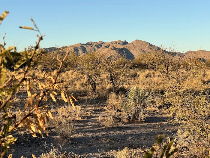 Dispersed Camping State Trust Land 2
