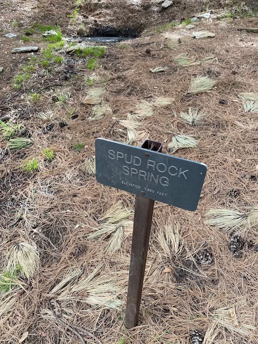 Spud Rock 1