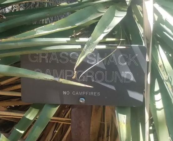 Grass Shack