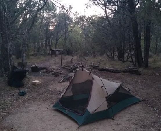 Juniper Basin Campground