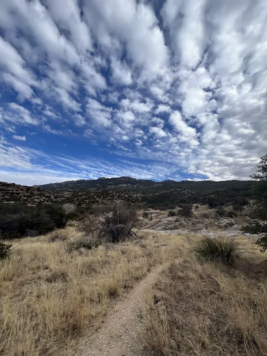 Douglas Spring Campground 0