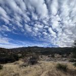 Douglas Spring Campground