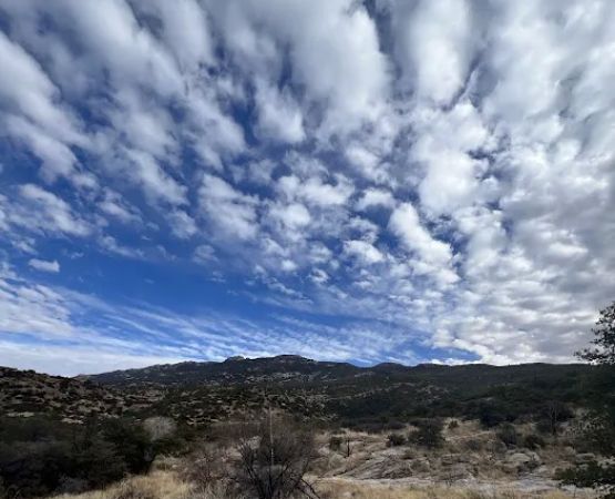 Douglas Spring Campground