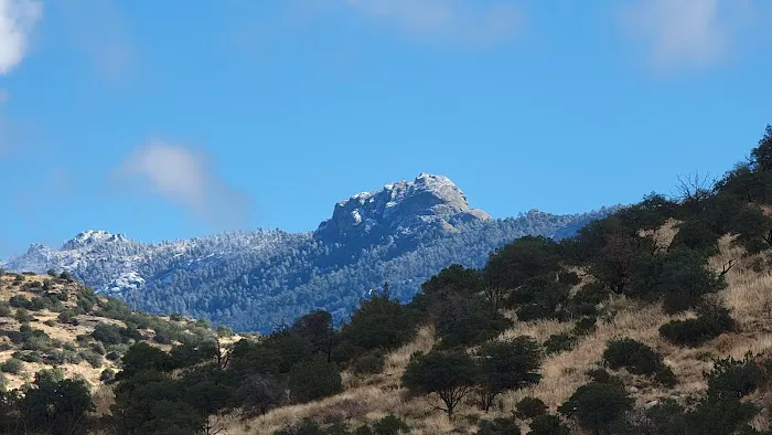 Douglas Spring Campground 3