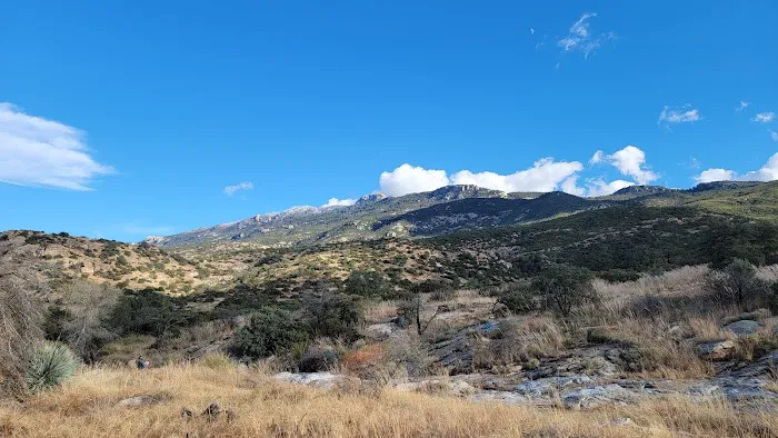 Douglas Spring Campground 5