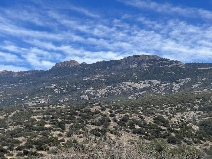 Douglas Spring Campground 1