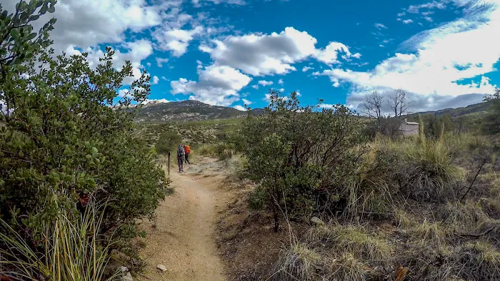 Douglas Spring Campground 8