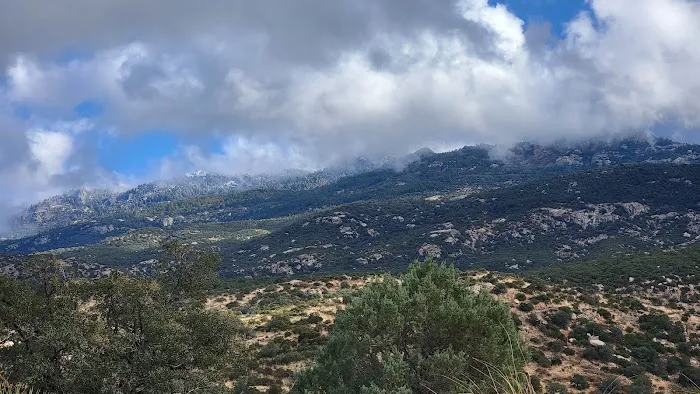 Douglas Spring Campground 6