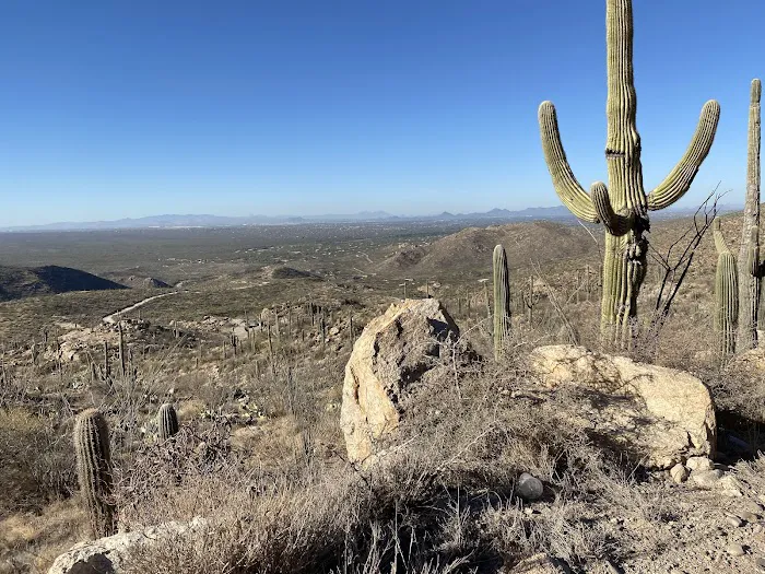 Redington Pass Dispersed 0